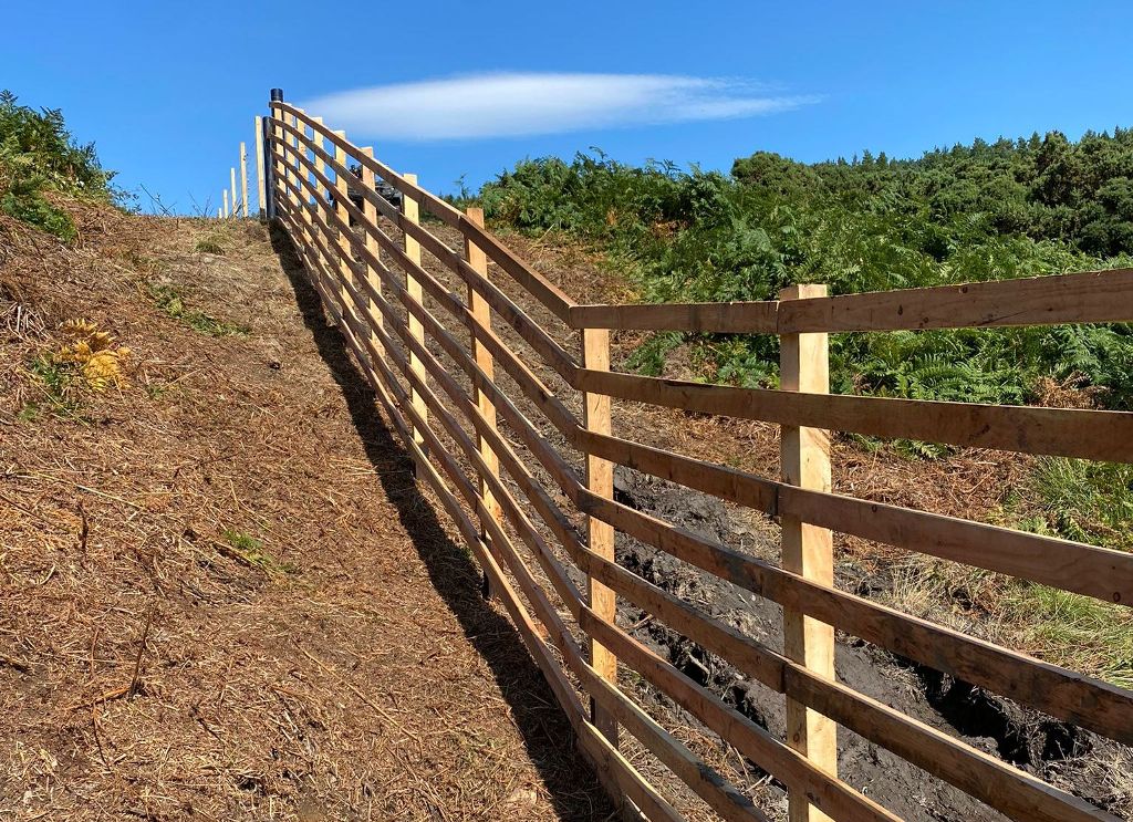 New lowland fence